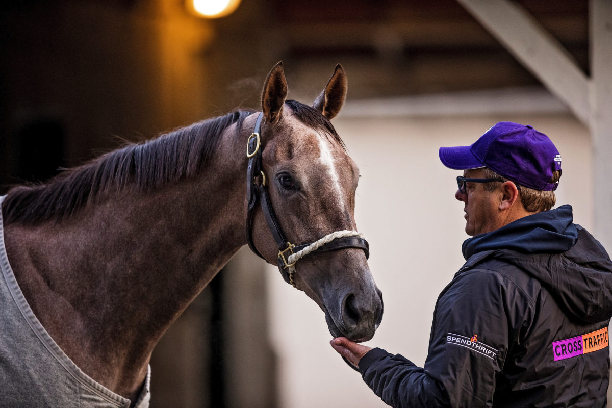 2018 Eclipse Champion 2YO Filly Jaywalk | Alex Evers Photo