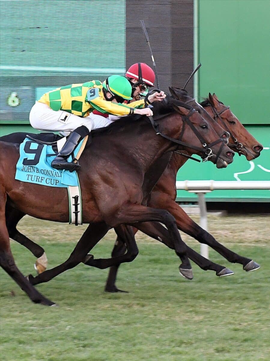 Another Mystery | 2022 Connally Turf Cup G3 | Courtesy Sam Houston Park