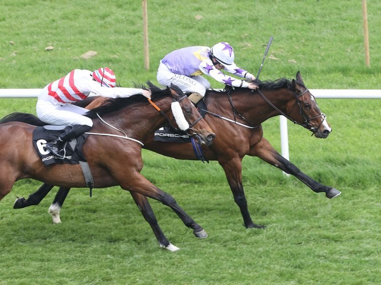 First-crop international miler Bold Discovery wins the 2024 Amethyst S. (G3) at Leopardstown | Racing Post photo