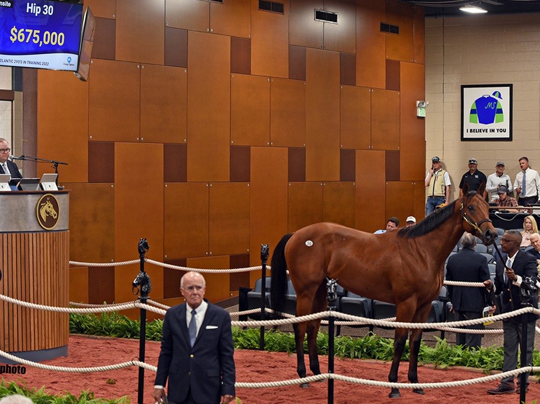 $675,000 colt at F-T Midlantic | Hip 30 o/o Shine Softly | Purchased by Spendthrift Farm & Frank Fletcher Racing | Tibor photo