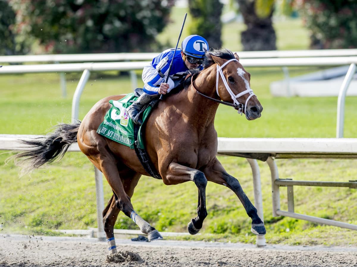 By My Standards 2019 Louisiana Derby G2 | Eclipse Sportswire Photo