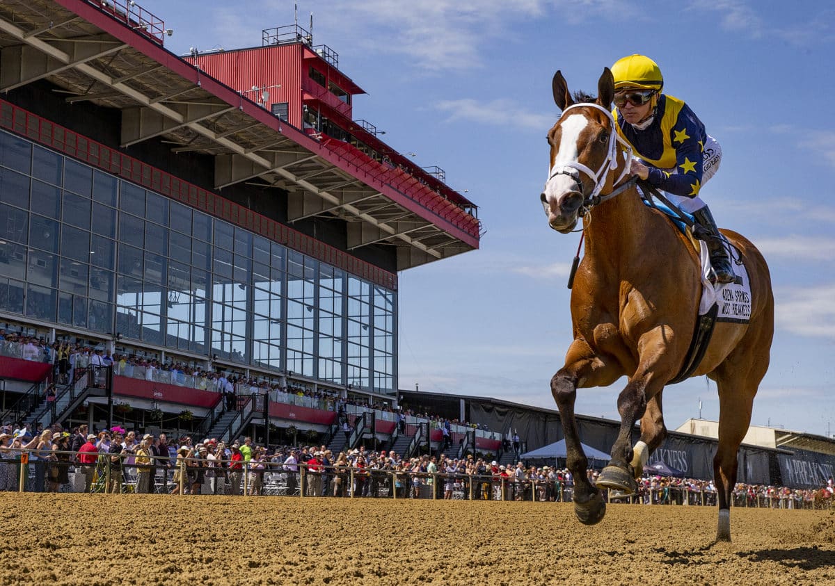 Covfefe (G3) sets NTR in 1:07.70 at Pimlico | Photos by Evers/Eclipse Sportswire/CSM
