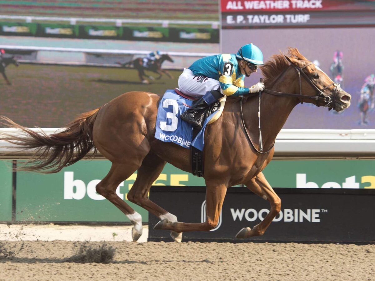 Creed's Gold dominates her competition in the 2025 Hendrie S. (G3) at Woodbine | Photo courtesy of Woodbine