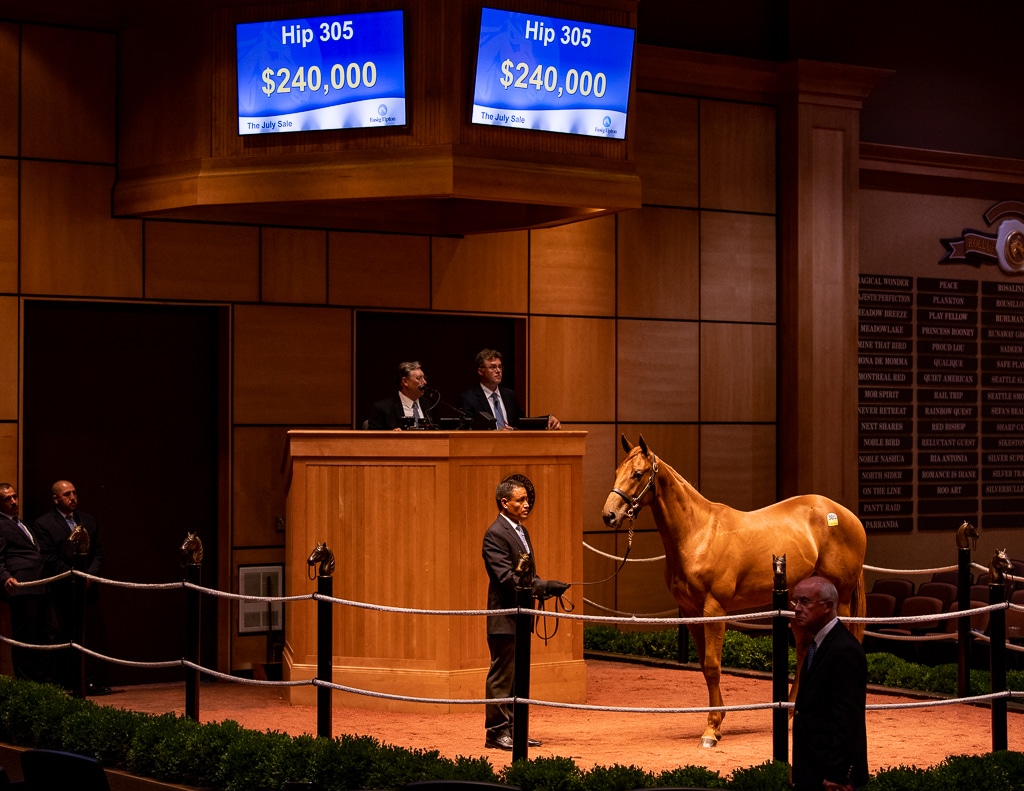 Hip 305 filly $240,000 at Fasig-Tipton July 2019 | Purchased by Sweetwater Trading Co for Cool Breeze Sales | Spendthrift Farm / Autry Graham Photo