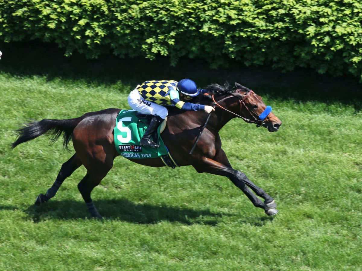 Du Jour | 2021 American Turf-G2 | Coady photo