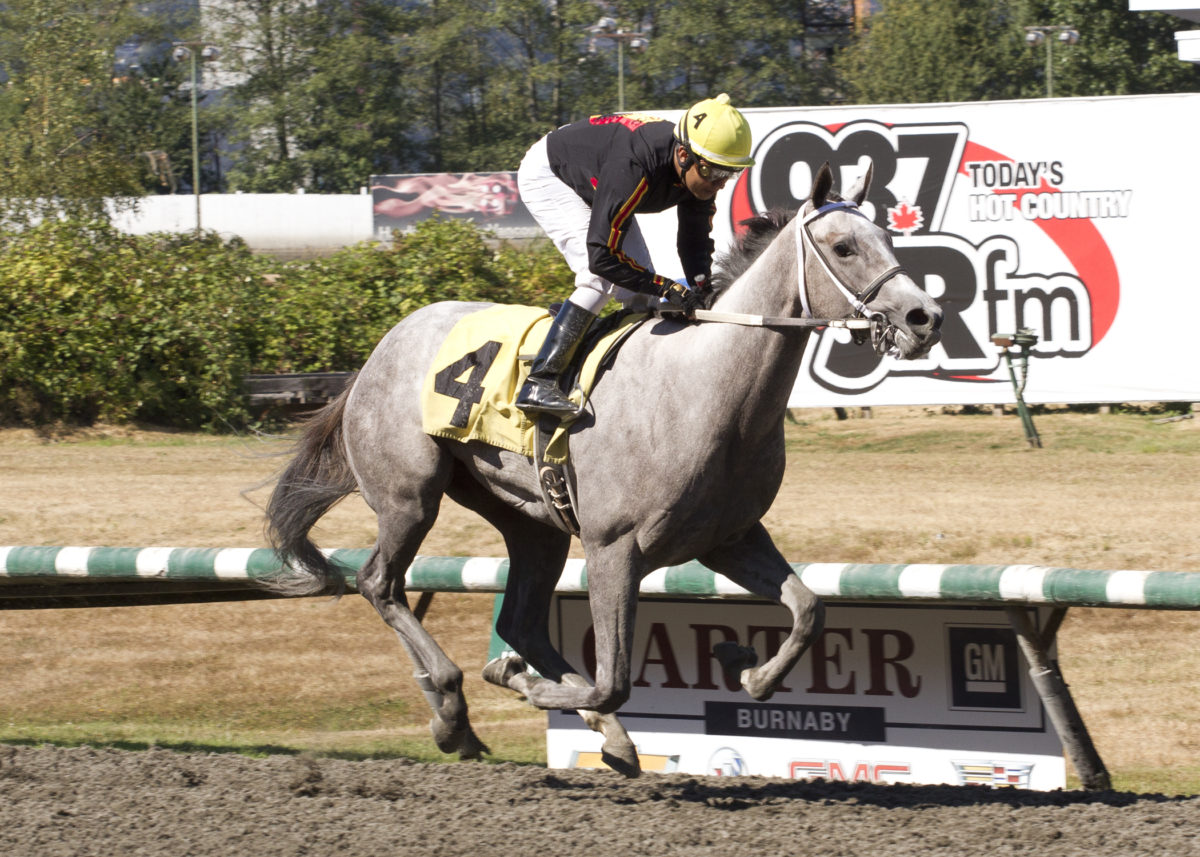 Dancin Shoes 2018 BC Cup Debutante