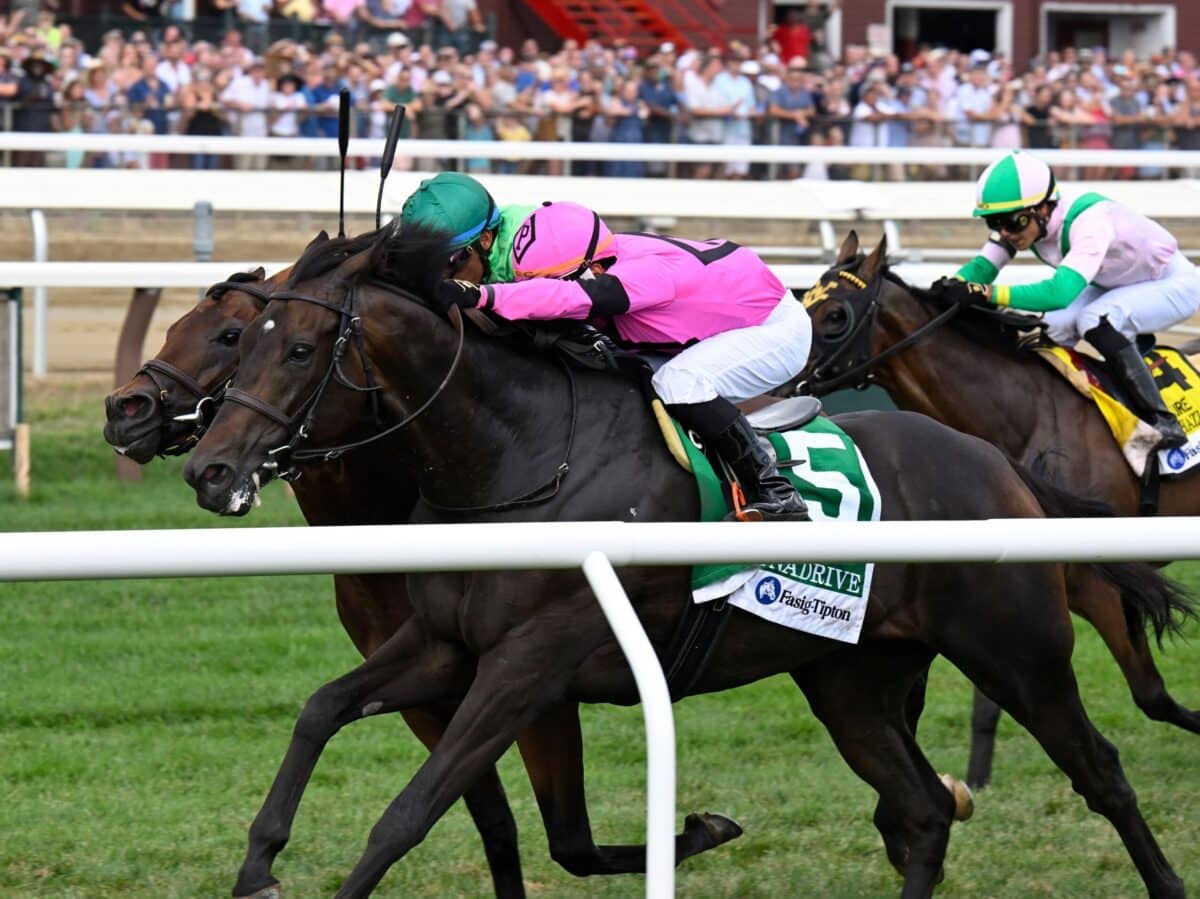 Dynadrive | 2022 Lure S. at Saratoga | NYRA photo