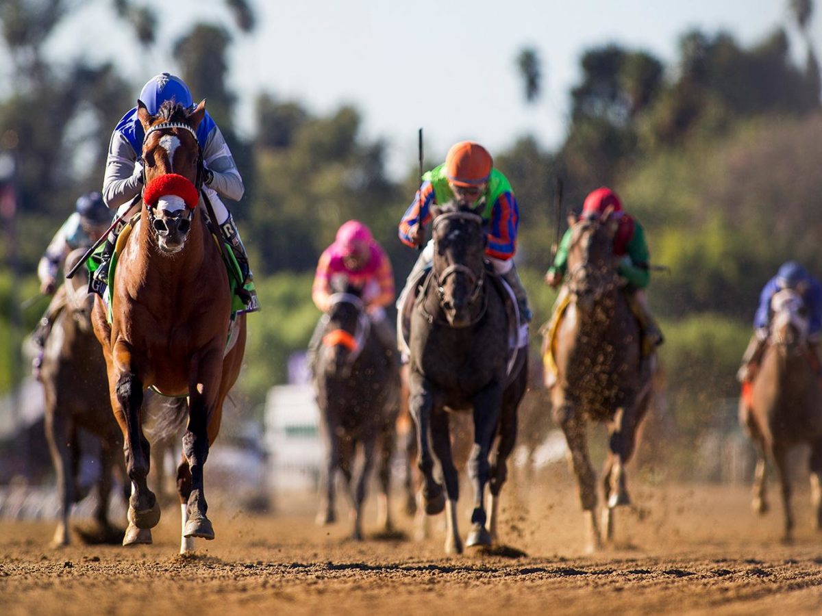 Goldencents 2013 Breeders' Cup Dirt Mile G1