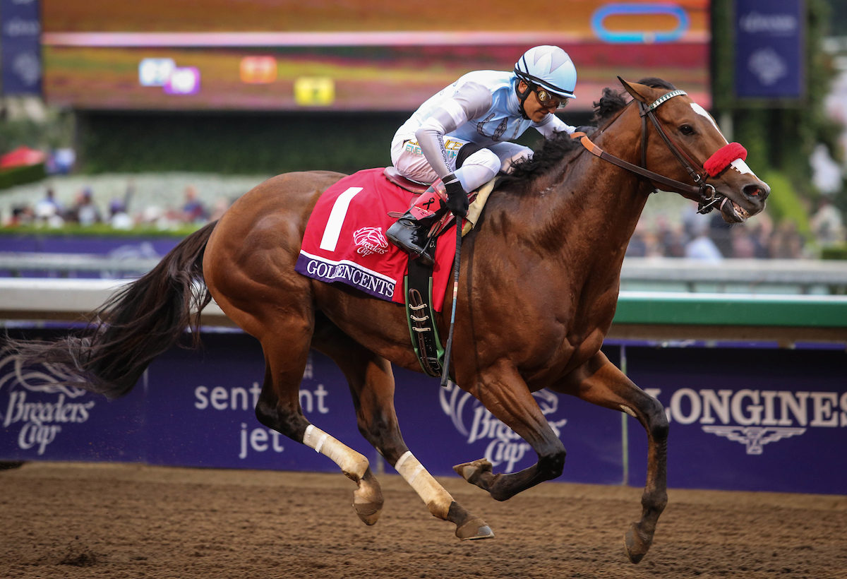 Goldencents 2014 Breeders' Cup Dirt Mile G1 | Zoe Metz