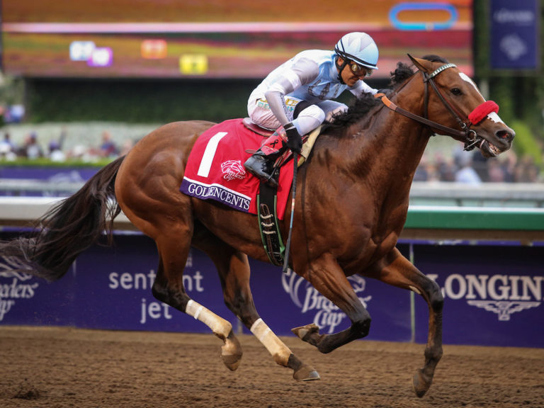 Goldencents | 2014 Breeders' Cup Dirt Mile-G1 | Zoe Metz photo