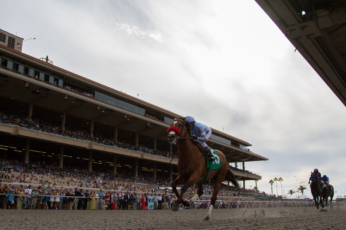 Goldencents 2014 Pat O'Brien G2 | Eclipse Sportswire Photo