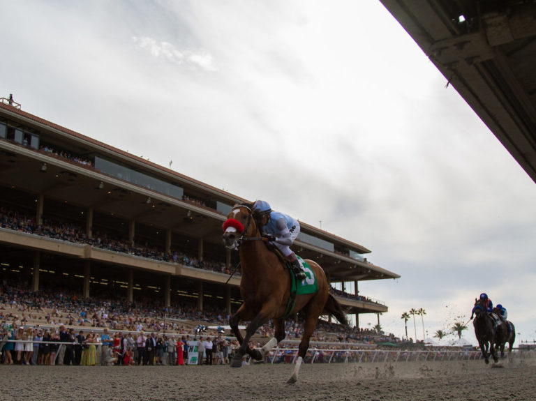 Goldencents | 2014 Pat O'Brien-G2 | Eclipse Sportswire photo