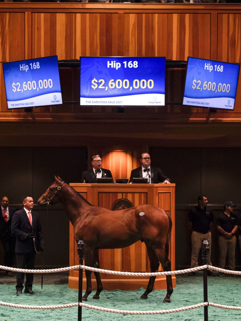 $2.6M sale-topper at 2021 F-T SAR | Colt o/o Paola Queen | Buyer: M. V. Magnier (Coolmore) | Breeder: Don Alberto | Z photo