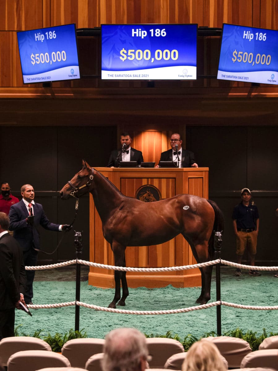 $500,000 | Hip 186 filly o/o Scenic Road | F-T Saratoga 2021 | Purchased by F. Brothers, Solis/Litt | Bred by Ruis Racing