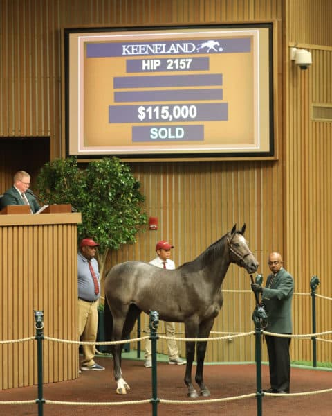 Hip 2157 colt o/o Pretty in Platinum | $115,000 | 2019 Keeneland September Sale