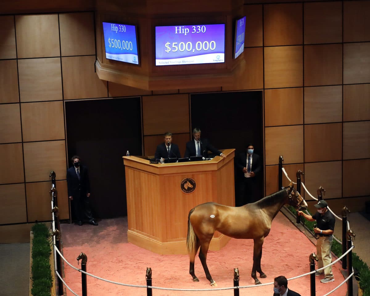 Hip 300 filly o/o ROSE AND SHINE | Fasig-Tipton Select Yearling Sale 2020 | Purchased by OXO Equine