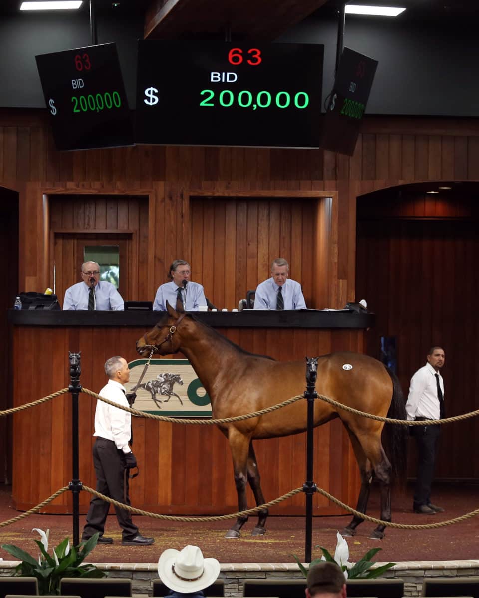Hip 63 filly o/o Five Star Day Dream | $200,000 purchase by Meah/Lloyd Bloodstock at OBS March 2020