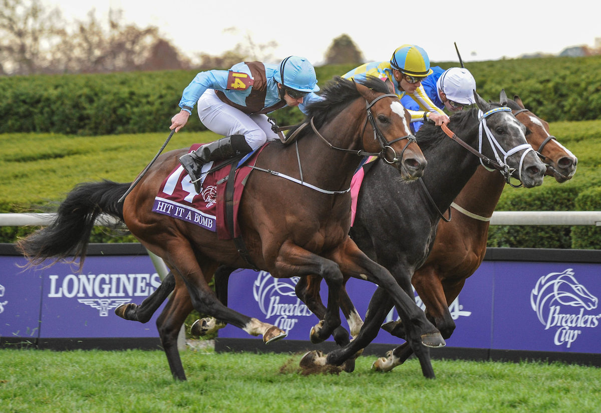 Hit It A Bomb 2015 Breeders' Cup Juvenile Turf G1 | Eclipse Sportswire Photo