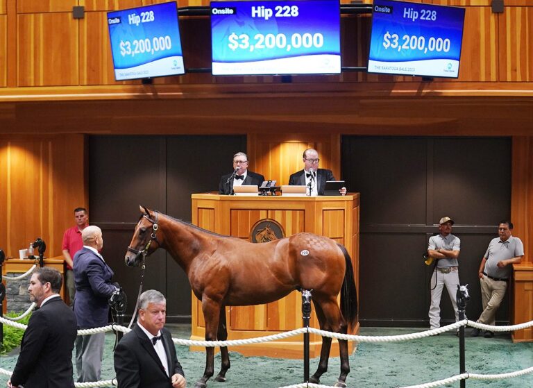 $3.2M sale-topper at 2023 F-T SAR | Colt o/o All American Dream | Buyer: Zedan Racing | Breeder: Jeff Drown & Don Rachel | Z photo