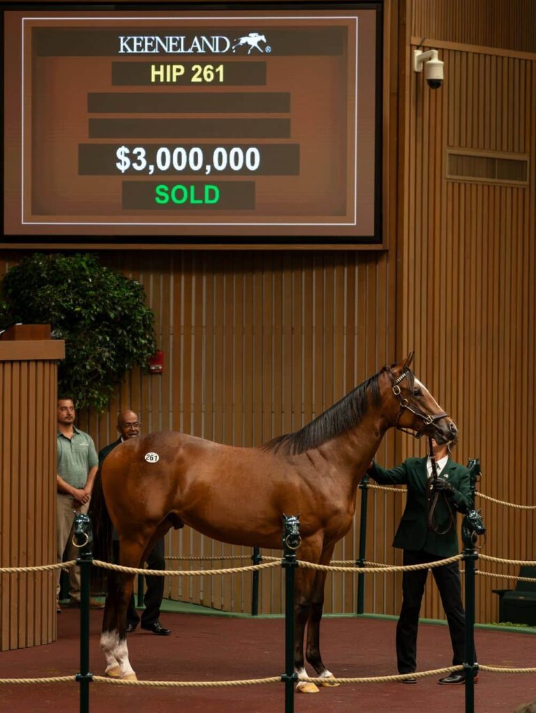 $3M sale-topper at 2023 KEESEP | Colt o/o Nonna Mia | Buyer: Sonson, Woodford, West Point, LEB, Agent | Breeder: Repole Stable | Nicole Finch photo