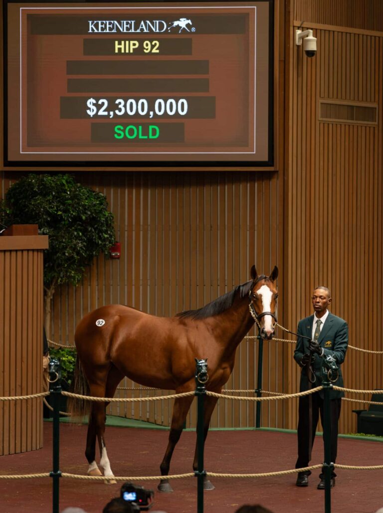 $2.3M at 2023 KEESEP | Filly o/o Delightful Joy | Buyer: Shadwell Farm | Breeder: International Equities Holding | Nicole Finch photo