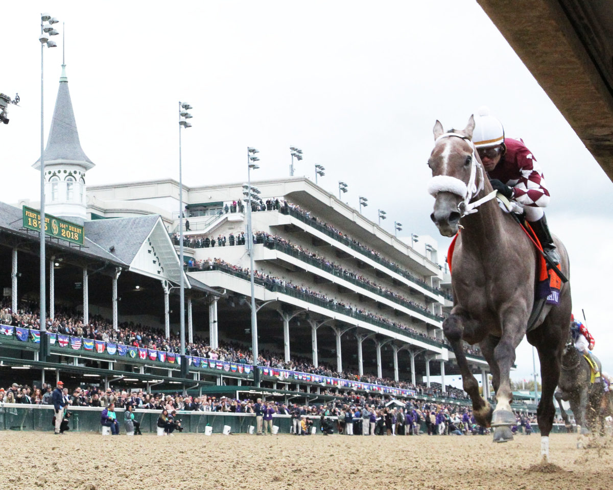 Jaywalk 2018 Breeders' Cup Juvenile Fillies G1