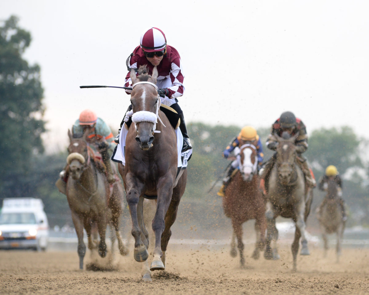 Jaywalk 2018 Frizette S. G1 | NYRA Photo