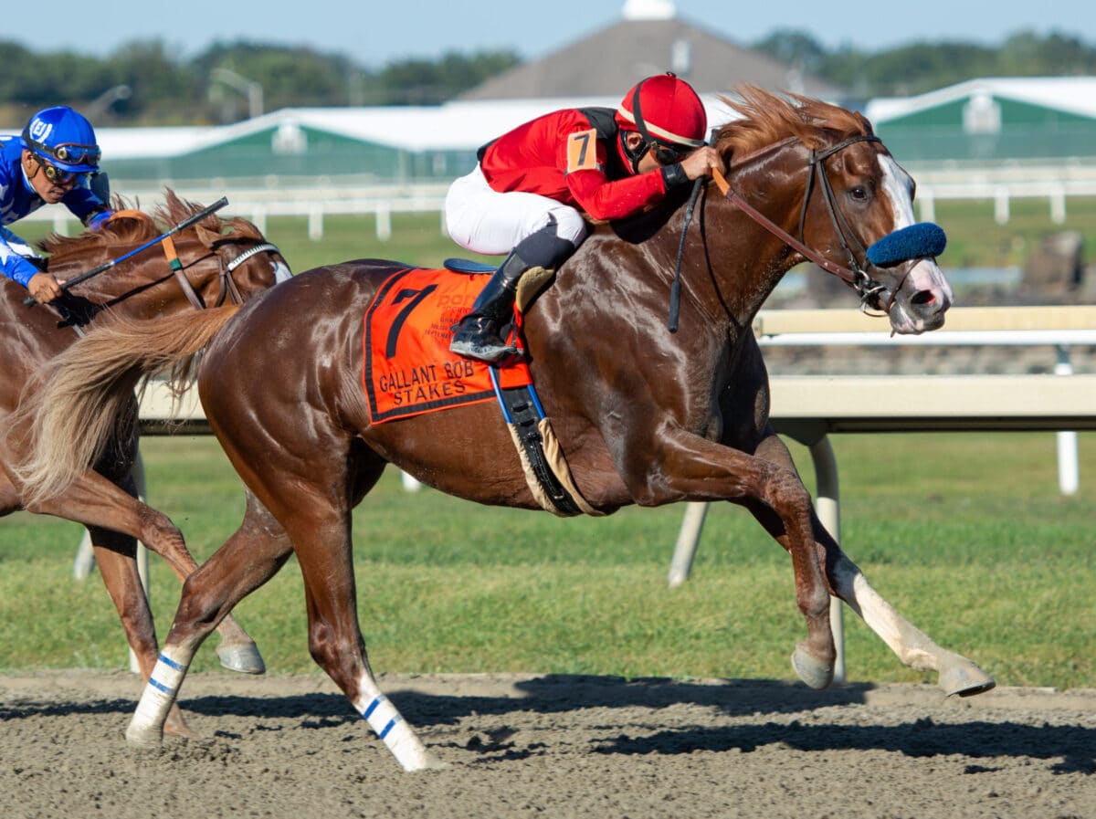 King Jack | 2019 Gallant Bob-G2 | 111 Beyer | Eclipse Sportswire photo