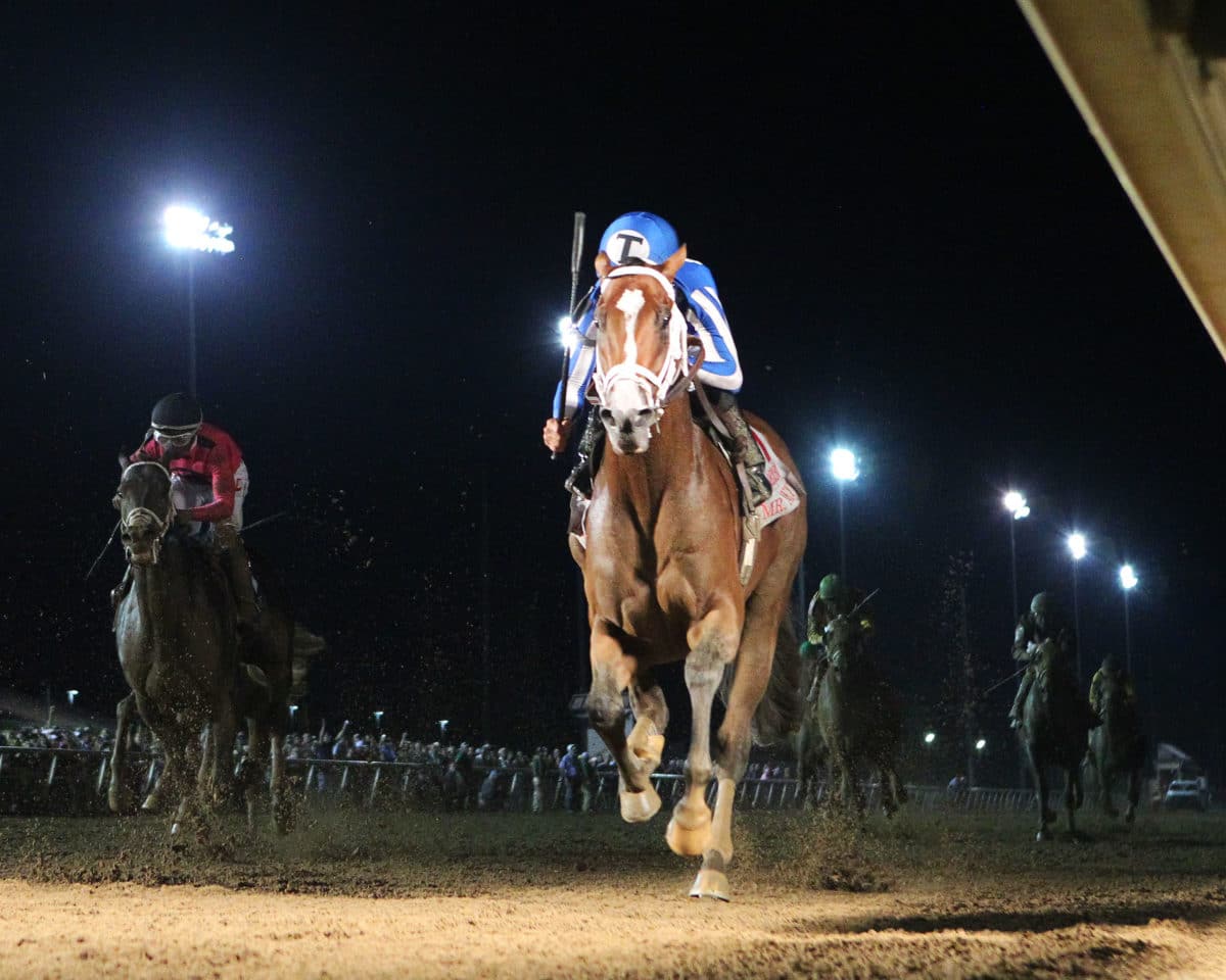 Mr. Money 2019 G3 Indiana Derby | Coady Photography