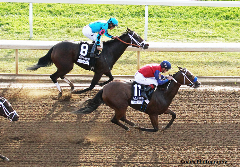 Miss Sunset | 2017 Raven Run Stakes G2 | Coady Photo