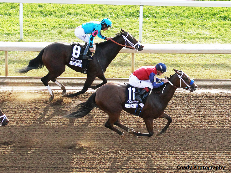 Miss Sunset | 2017 Raven Run Stakes G2 | Coady Photo