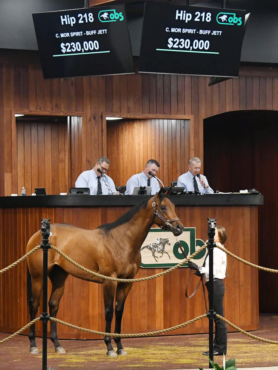 $230,000 colt | Purchased by Exline-Border Racing LLC, Marette Farrell, Agent | '22 OBSAPR | Photo by Judit Seipert