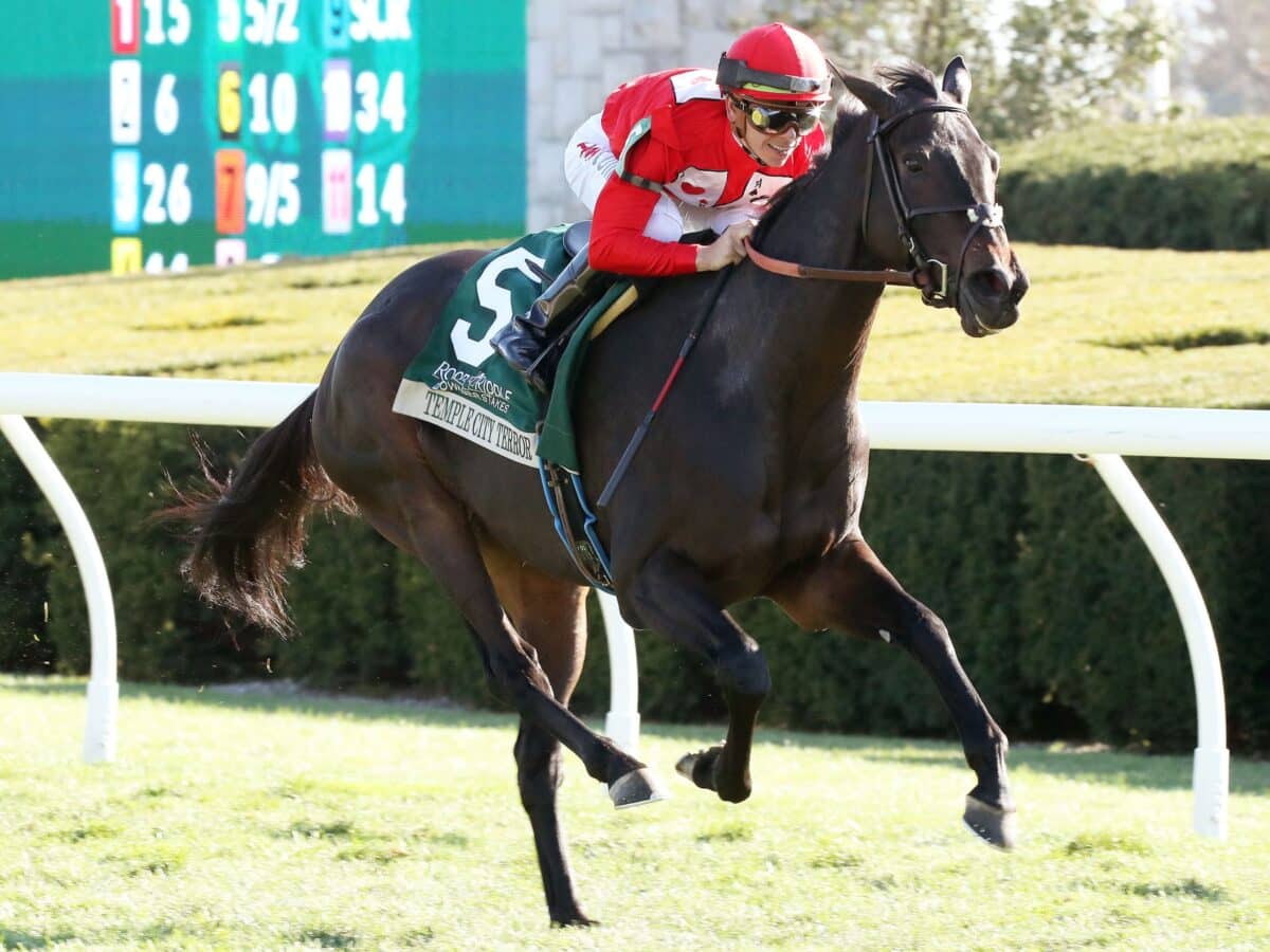 Temple City Terror | Multiple G3 winner at Keeneland & Aqueduct in 2022 | Coady photo