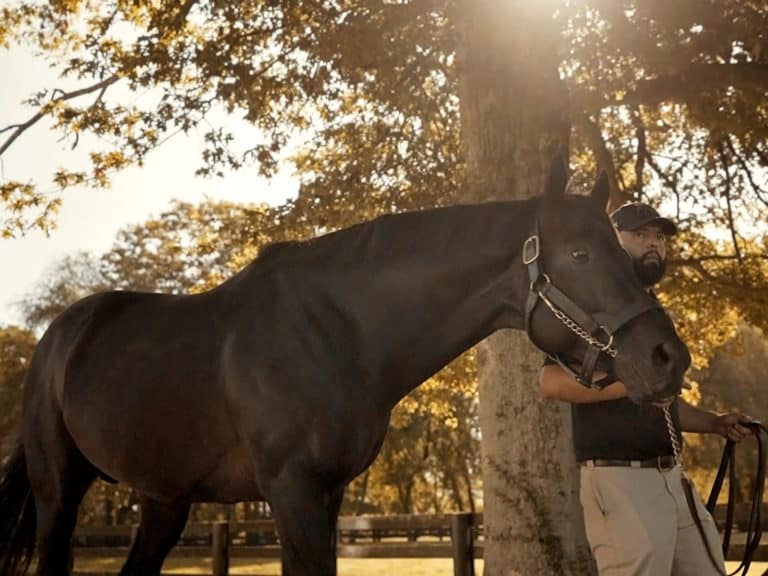 Temple City | 2019 at Spendthrift