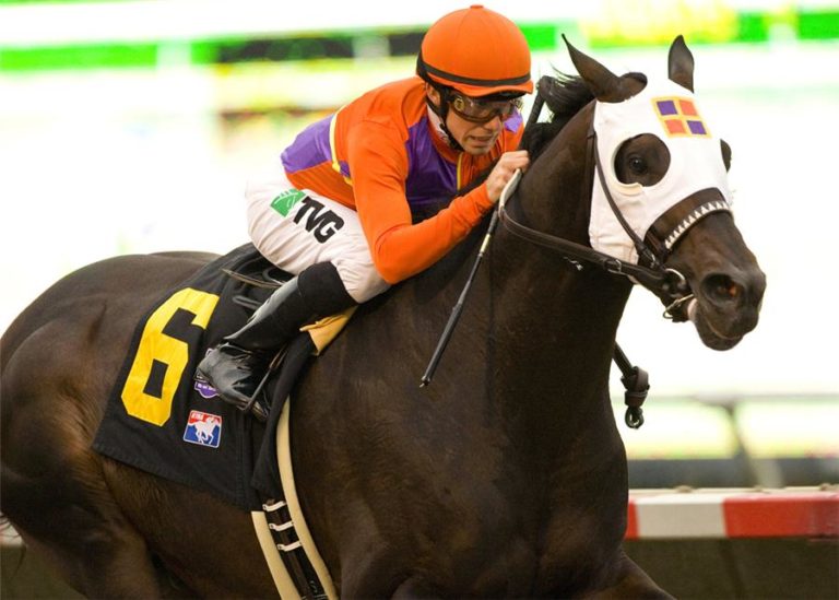 Temple City | 2010 Cougar II Handicap-G3 | Benoit photo