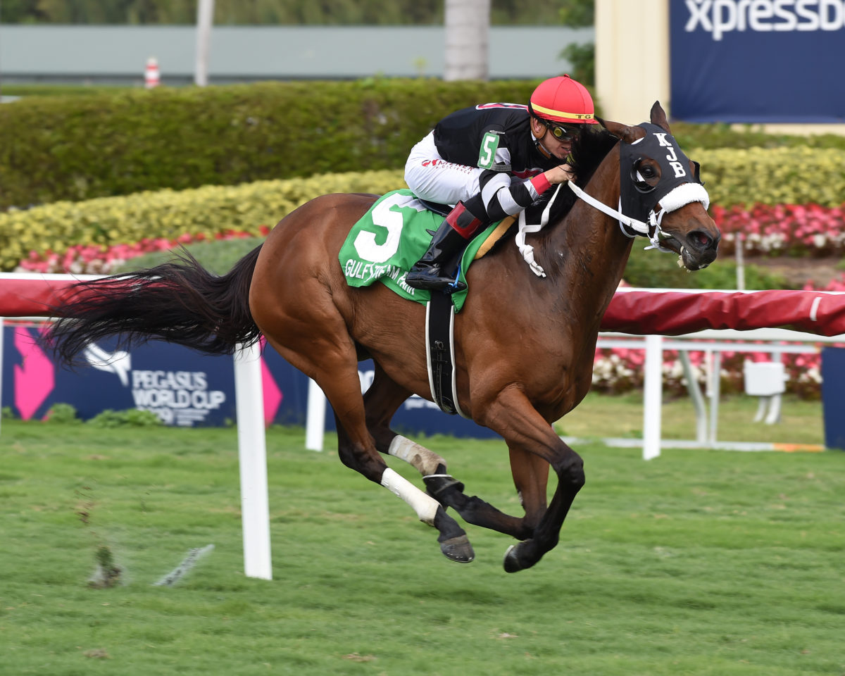 Valedictorian 2019 Suwannee River-G3 at Gulfstream | Coglianese photo