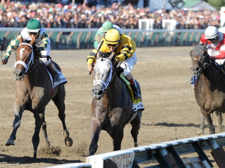 Cross Traffic | 2013 Whitney-G1 at Saratoga