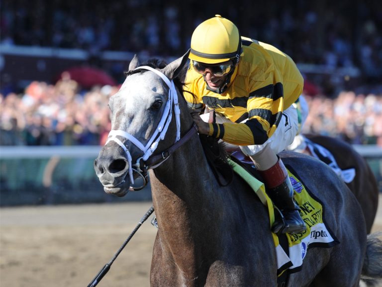 Cross Traffic | 2013 Whitney-G1 at Saratoga