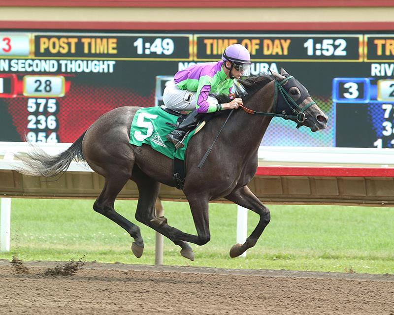 Dame Plata 2018 MTA Sales Graduate Futurity | Coady Photography