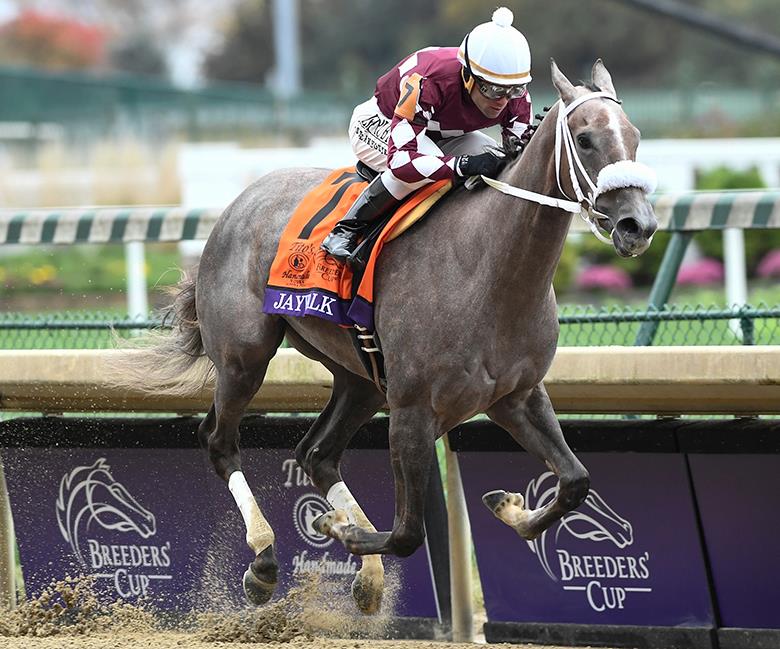 Jaywalk 2018 Breeders' Cup Juvenile Fillies G1 | Eclipse Sportswire Photo