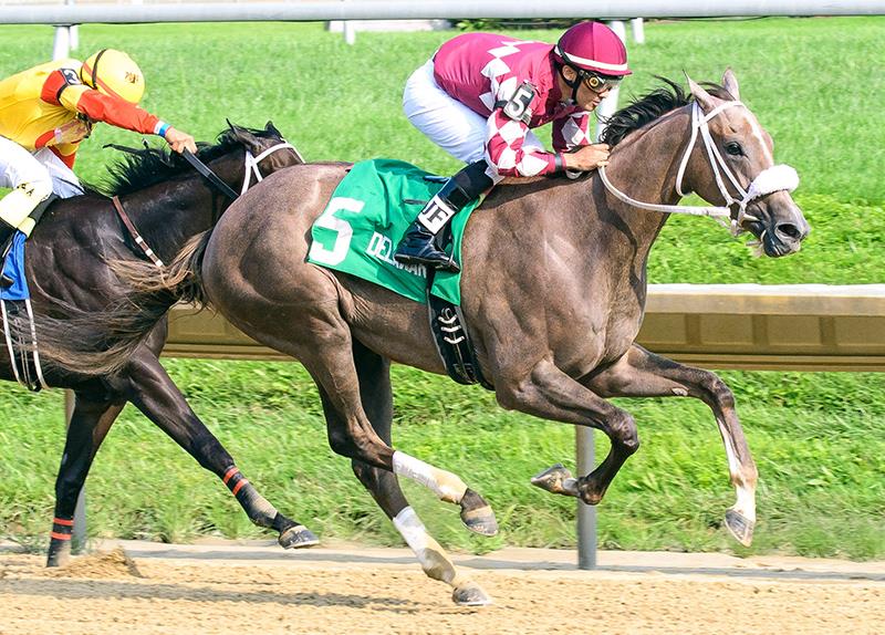 Jaywalk 2018 White Clay Creek S. | Hoofprints Photo