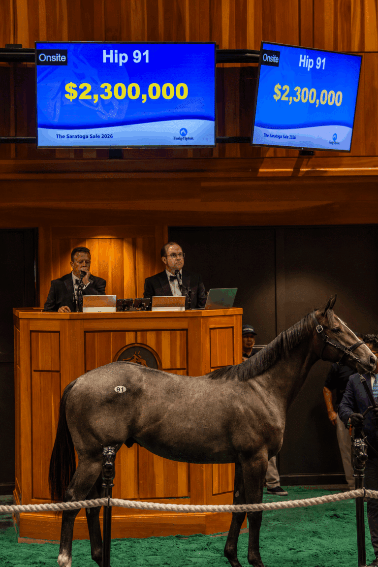 Hip 91, a colt by Into Mischief o/o Stellar Sound sells for $2,300,000 to Flying Dutchman | Kendall Wucker Photo