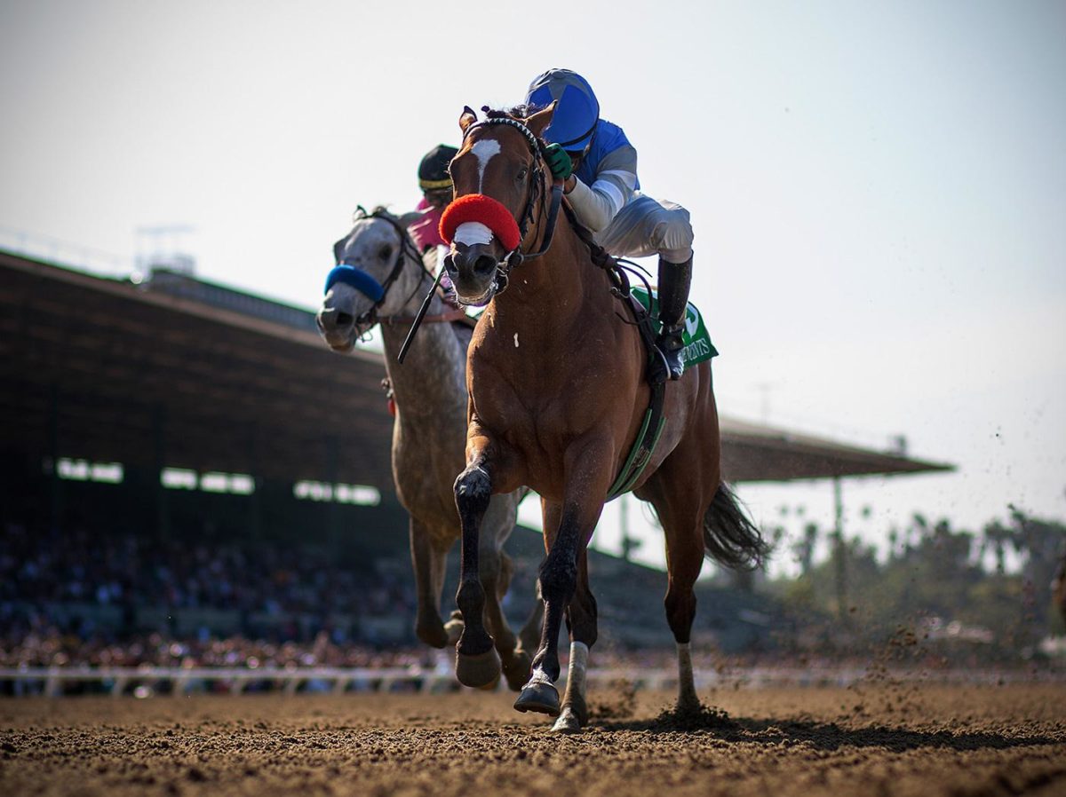 Goldencents 2014 Santa Anita Derby G1