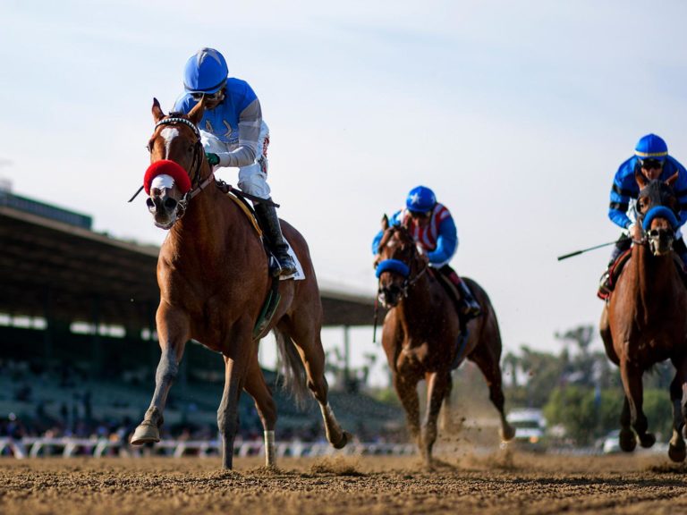 Goldencents | 2013 Sham-G3
