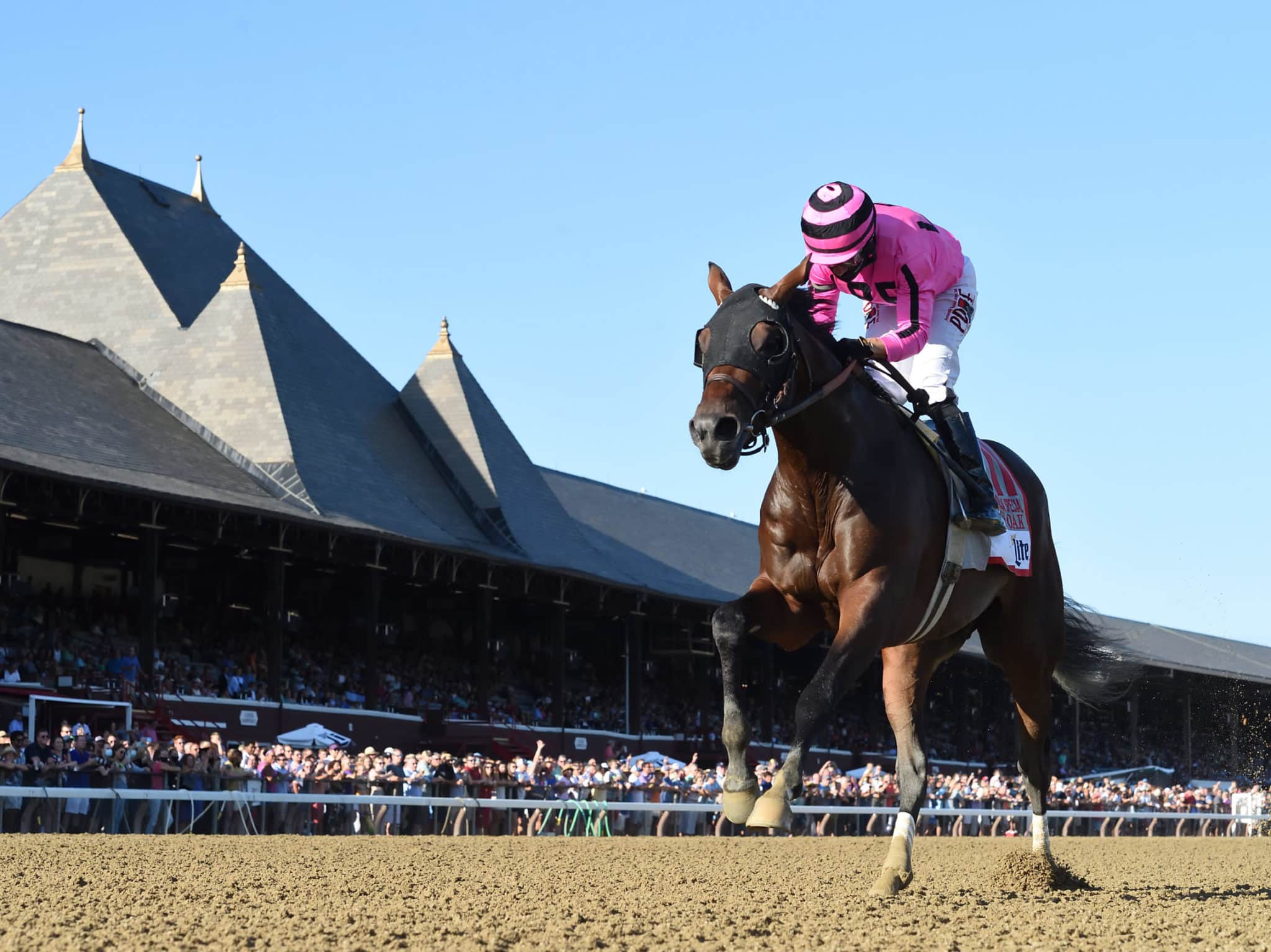 Nyra Bets Results 18 - qr6ihho