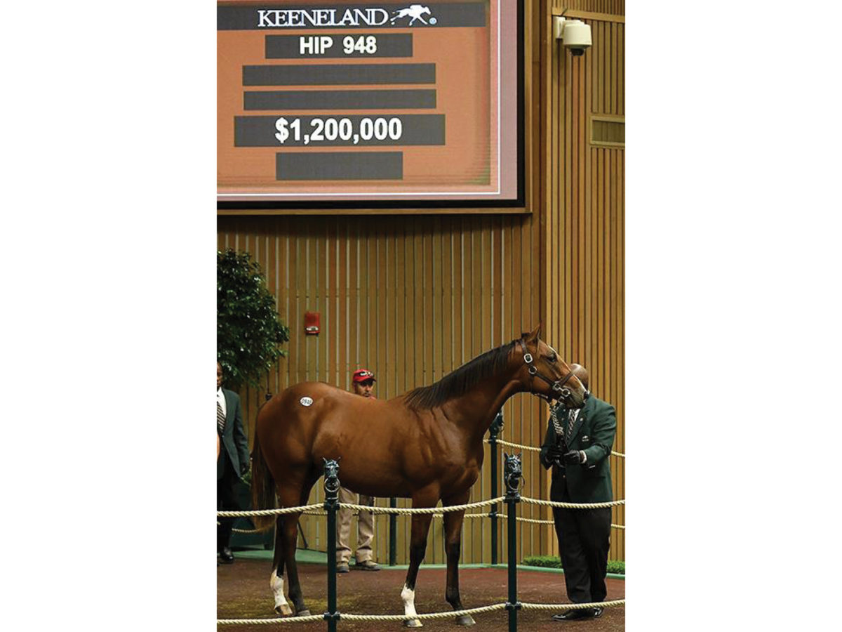 Hip 948 $1.2M colt | Keeneland September Yearling Sale 2018 | Photos by Z