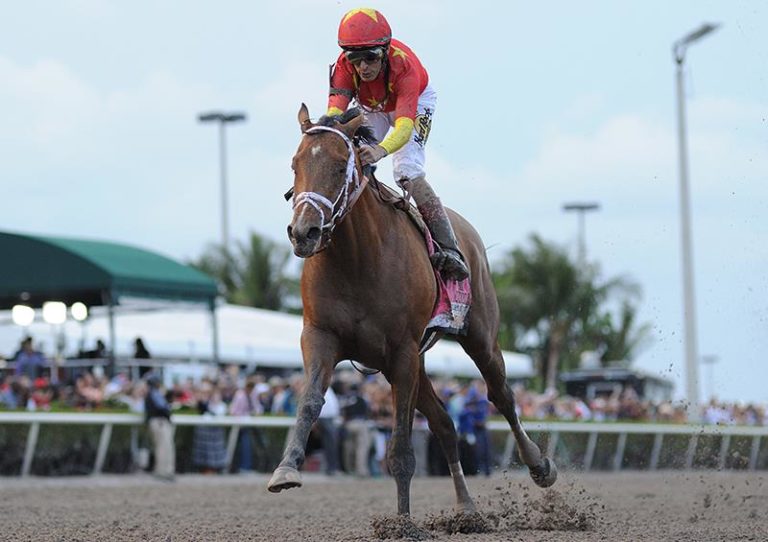 Audible | 2018 Florida Derby-G1 | Coglianese photo