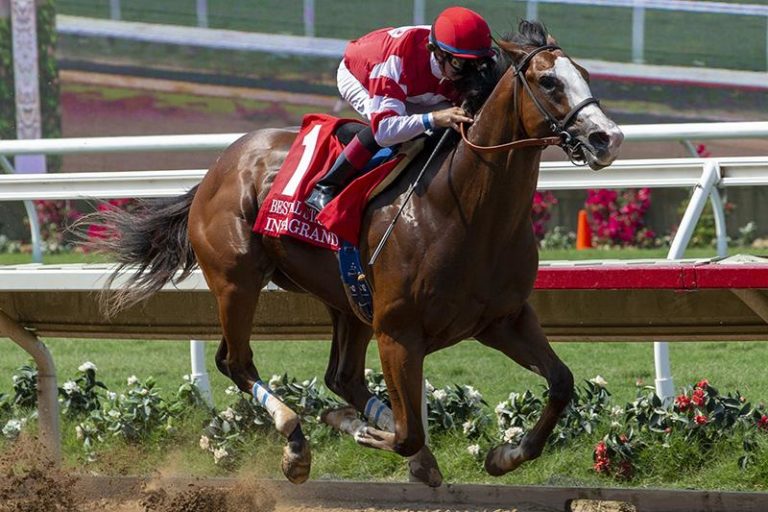 Instagrand | 2018 Best Pal-G2 | Eclipse Sportswire photo