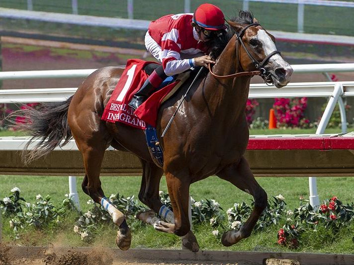 Instagrand | 2018 Best Pal-G2 | Eclipse Sportswire photo