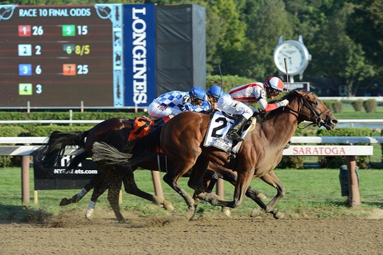 Practical Joke | 2016 Hopeful-G1 | NYRA photo